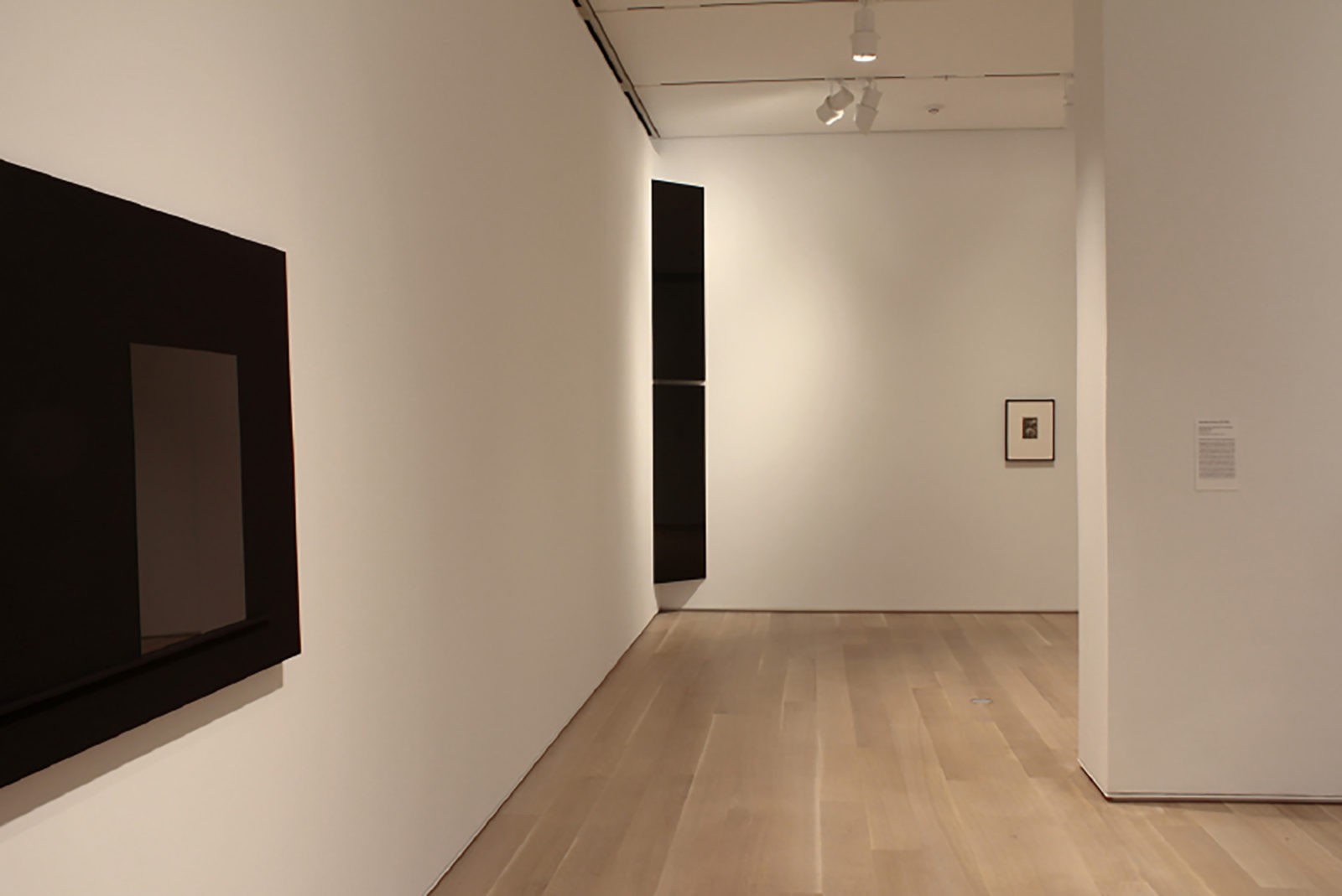 A view of artworks on the walls of a gallery, including a tall, narrow abstract photogram placed in a corner.
